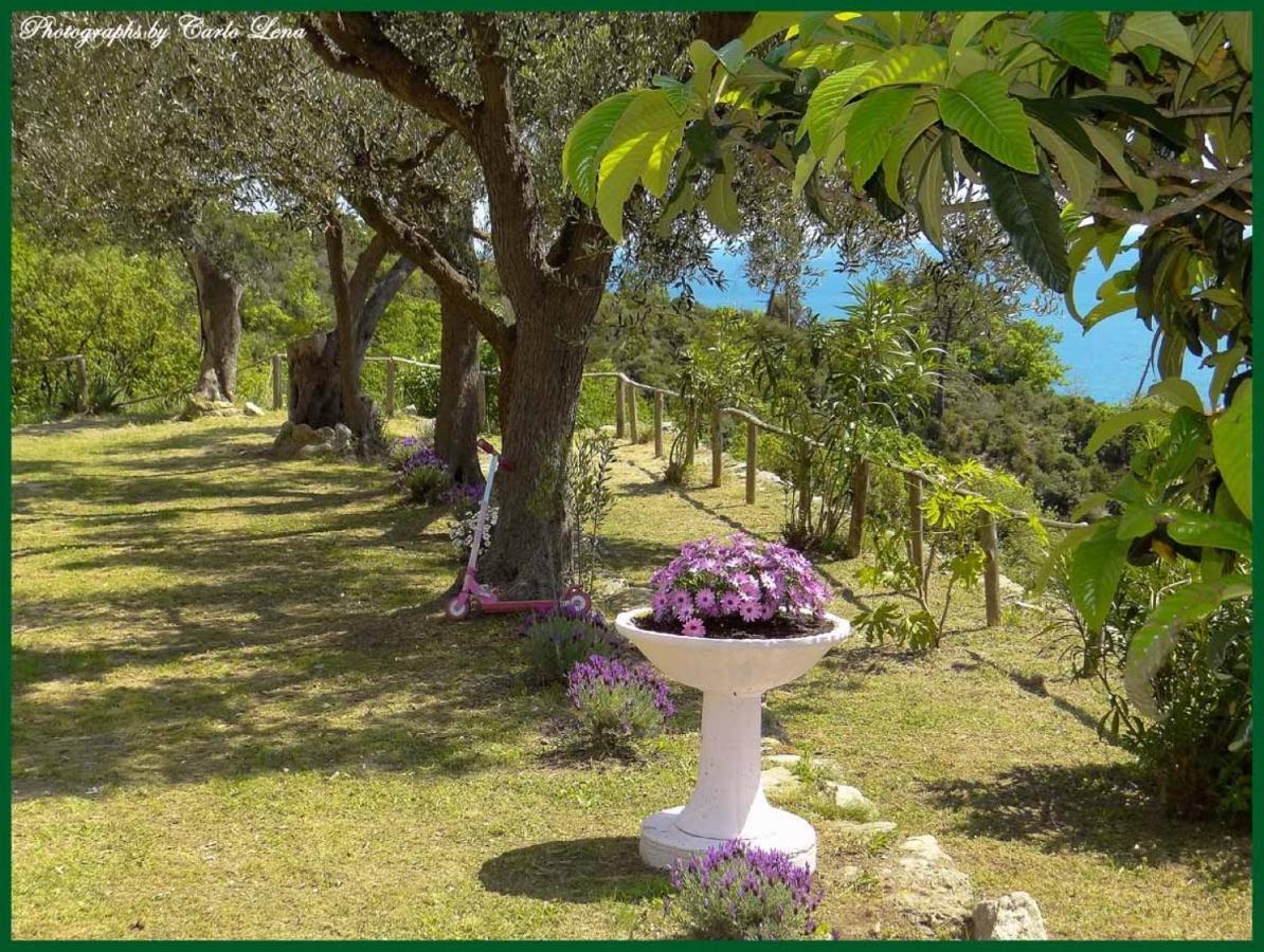 Villa Pierina Finale Ligure Luaran gambar
