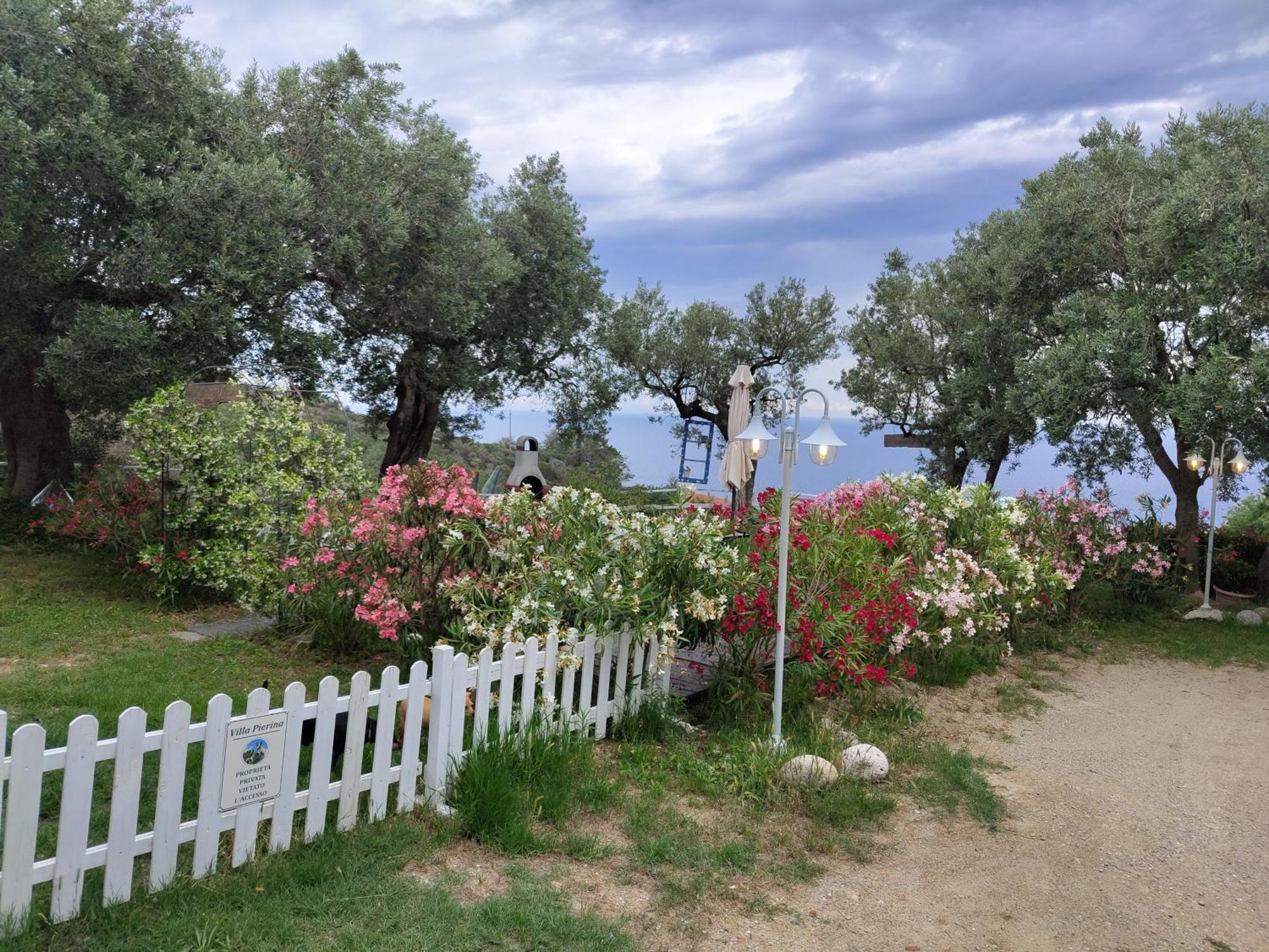Villa Pierina Finale Ligure Luaran gambar